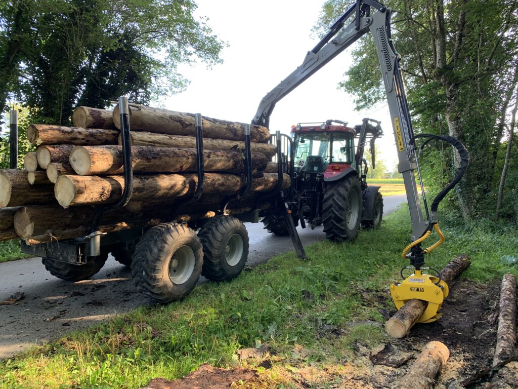 foto 19.08.20, 08 49 17